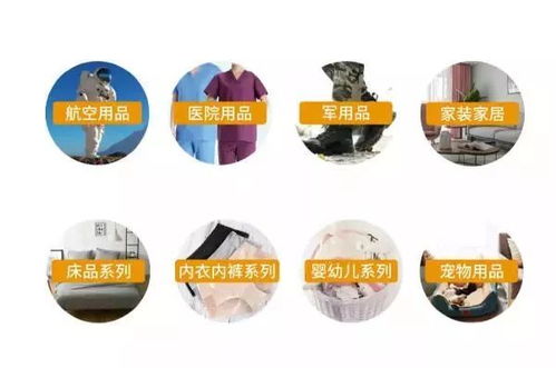 數字時代的龍舟競渡 網絡科技如何革新端午傳統