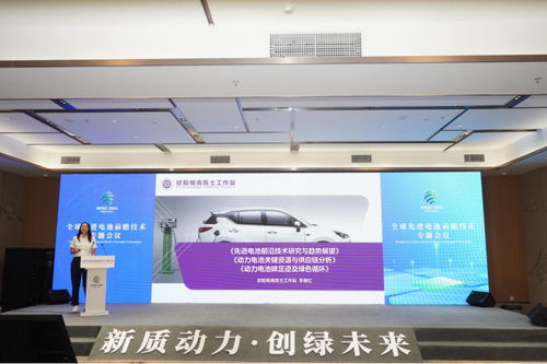 全球先進電池前沿技術研討會在宜賓舉行，樹立電子科技領域風向標